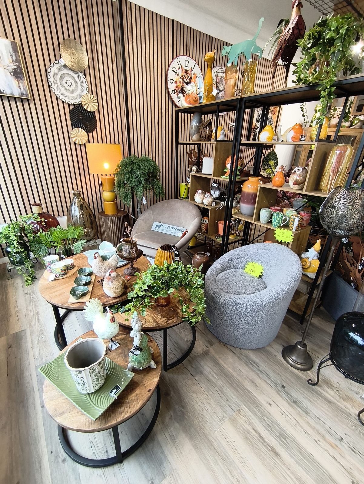 Intérieur boutique Déco dans Fer Ferrière-la-Grande